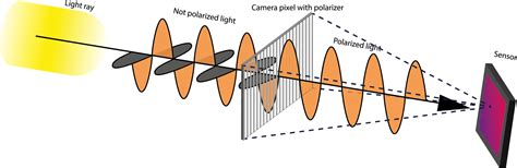 polarized light camera